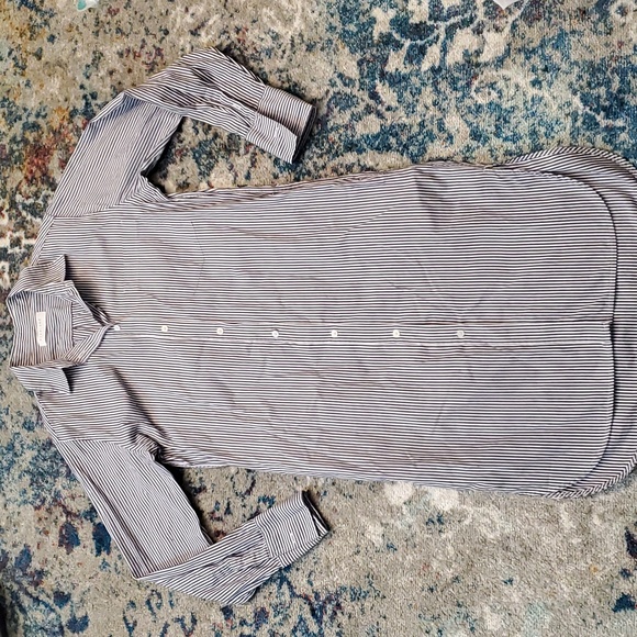 Everlane Stripe Button Down Oxford Shirt Dress- 2 - Picture 6 of 11